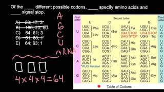 Codons and Amino acids [upl. by Naejarual]