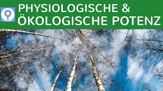 Physiologische und ökologische Potenz einfach erklärt  Wettbewerbs amp Verdrängungsprozesse Bäume [upl. by Yelsnya]