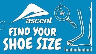 Find Your Shoe Size [upl. by Ib]