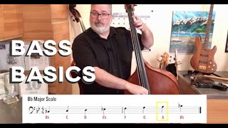 BASS BASICS Double Bass Technique for Beginners [upl. by Anniken]