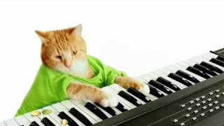 Keyboard Cats Wonderful Pistachios Commercial [upl. by Reisch]