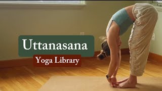 Forward Fold Uttanasana [upl. by Adnirod]