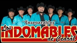 LOS INDOMABLES DE CEDRAL MIX [upl. by Atinnek120]