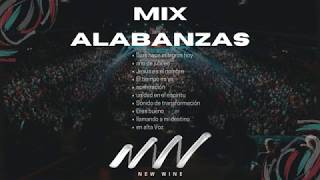 MÚSICA CRISTIANA  ALABANZAS  New Wine  MIX  GOZO [upl. by Mcclenon]