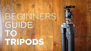 Beginners Guide to Tripods  Benefits How to Use Recommended Tripod Gear [upl. by Noffets725]