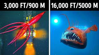 Fascinating 3D Journey to the Ocean Depths [upl. by Selle538]