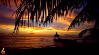 1 Hour Chill Out Reggae Island Music  Infest  Alific [upl. by Pinter]