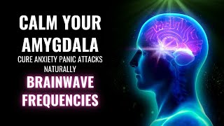 Calm Your Amygdala  Cure Anxiety Panic Attacks Naturally  Brainwave Frequencies  Amygdala Music [upl. by Kelcey]