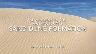 Sand Dune Formation and the Rock Cycle [upl. by Remat446]