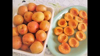 COMMENT CONSERVER DES ABRICOTS EN MORCEAUX POUR TARTES [upl. by Geminius415]