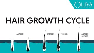 Natural Hair Growth Cycle Explainer Video On Anagen Catagen amp Telogen Phases [upl. by Nallek797]