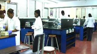 UTECHMarmicmon Dental Programmes in Jamaica [upl. by Favin]