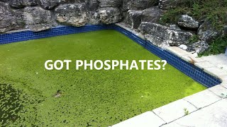 Phosphates In Pool Water [upl. by Ariana]