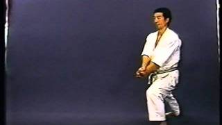 Heian Godan JKA  Sensei Osaka [upl. by Davita807]