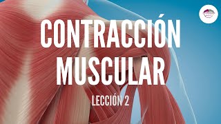 2 CONTRACCIÓN MUSCULAR FISIOLOGÍA MUSCULAR [upl. by Viking273]