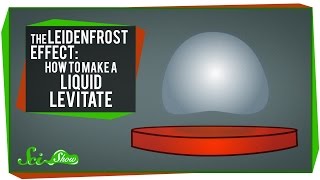 The Leidenfrost Effect How to Make a Liquid Levitate [upl. by Atnoved]