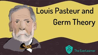 Louis Pasteur and Germ Theory [upl. by Shawn76]