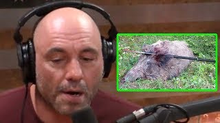 Joe Rogan Is Spear Hunting Ethical [upl. by Nerte]