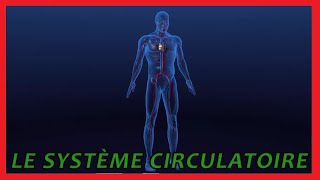 Le système circulatoire [upl. by Kerk635]