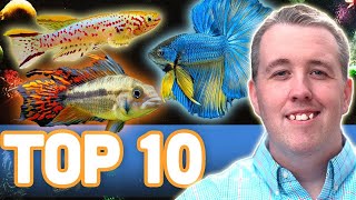 MY TOP 10 FISH FOR A 10 GALLON AQUARIUM [upl. by Aeuhsoj]