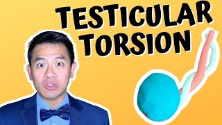 Testicular Torsion  What To Do About This Urologic Emergency [upl. by Corrianne]