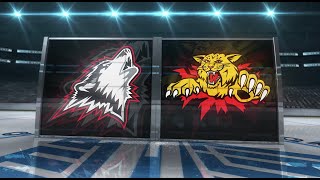 213 RouynNoranda Huskies 4 Moncton Wildcats 2  25 11 2022 [upl. by Eural334]