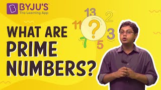 Prime Numbers  Introduction With Examples [upl. by Atsylac]