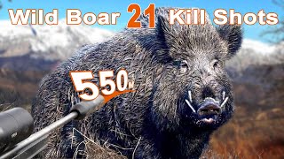 Wild Boar Hunting Shots Compilation  Compilation de tir au Sanglier 2023 [upl. by Gideon]