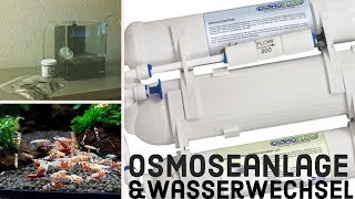 Osmoseanlage anschließen amp Wasserwechsel [upl. by Delinda]