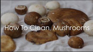 How to Clean Mushrooms [upl. by Huston551]