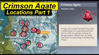 Where to find Crimson Agate Part 1  All 13 Locations Westside of Dragonspine  Genshin Impact Guide [upl. by Donalt392]