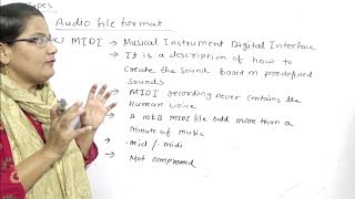 Multimedia File Format Standards Lec68 [upl. by Aitra]