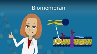 Biomembran  Aufbau und Funktion [upl. by Namia]