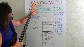 Bass Guitar For Beginners What Bassists Should Know [upl. by Hakeber]