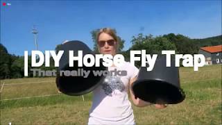 DIY Horse fly trap  fly spray that really works [upl. by Hcaz]