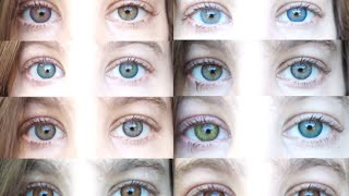 Color Contacts All 12 Freshlooks Color Contact Lenses [upl. by Eibot]