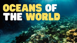 Oceans of the World for Kids  Learn all about the 5 Oceans of the Earth [upl. by Beberg]