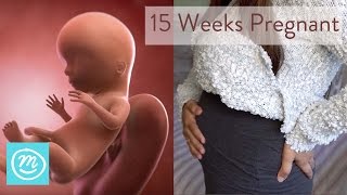 15 Weeks Pregnant What You Need To Know  Channel Mum [upl. by Akeret]