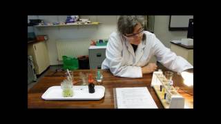 Hill Reaction experiment [upl. by Boiney]