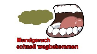 Quicktipp gegen Mundgeruch – Mundgeruch schnell loswerden  wegbekommen  Tutorial [upl. by Aniluj]