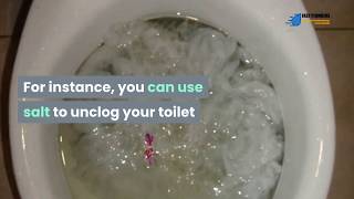 How To Unclog A Toilet Using Salt [upl. by Perrie90]