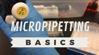 Lab Skills Micropipetting Basics [upl. by Meeharb]