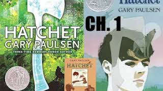 Hatchet  Audiobook Chapter 01 [upl. by Rainwater]