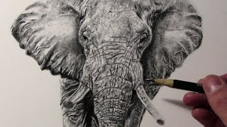 Cómo dibujar un Elefante [upl. by Kcirdnekal]