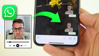 Crear STICKERS ANIMADOS en WhatsApp fácil y sin fondo ✅ [upl. by Assadah]