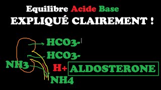 🔴 EQUILIBRE ACIDEBASE EXPLIQUÉ TRÈS CLAIREMENT   DR ASTUCE [upl. by Naitsihc702]