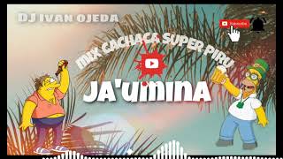 CACHACA SUPER PIRU MIX JAUMINA MAIKY ENGANCHADO 2020 [upl. by Teyut]