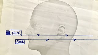 How to identify a vertebra anatomy [upl. by Akilam6]