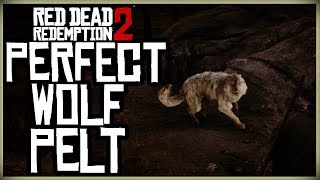 HOW TO GET A PERFECT WOLF PELT  RED DEAD REDEMPTION 2 PRISTINE WOLF HUNT [upl. by Halette]