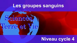 Les groupes sanguins [upl. by Fagaly]